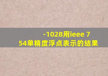 -1028用ieee 754单精度浮点表示的结果